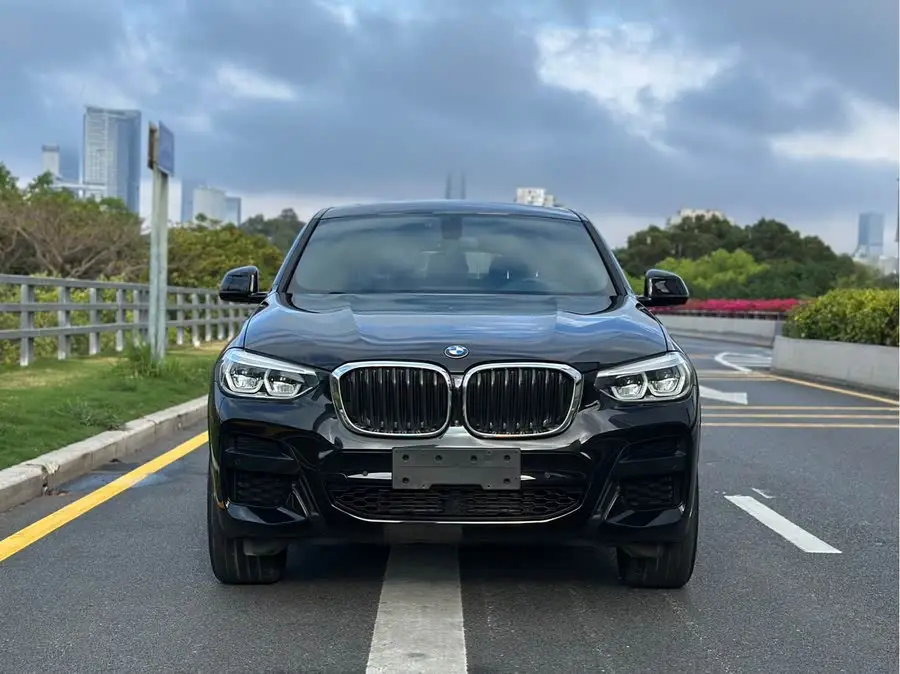 BMW X4 2020 xDrive25i M Sport Package