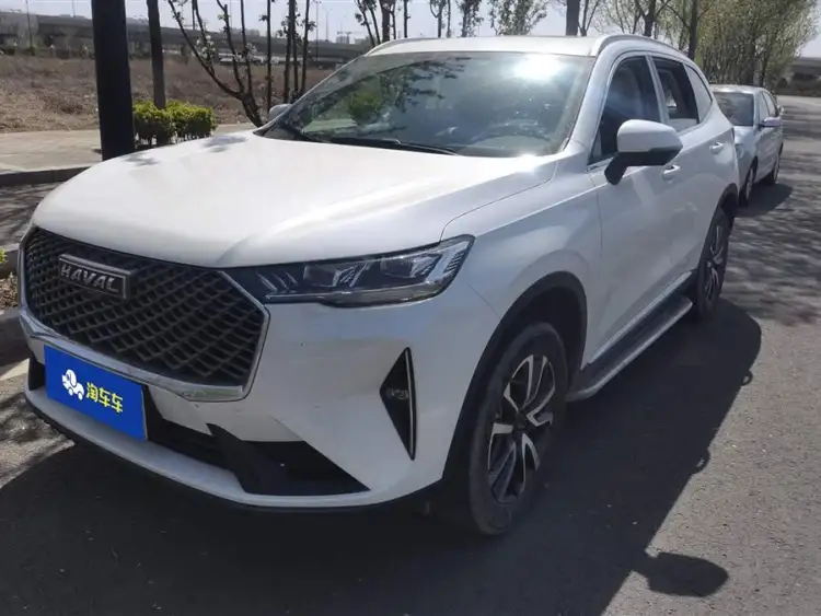Haval H6 2022 Model Third Generation 1.5T Automatic Two-Wheel Drive Pro