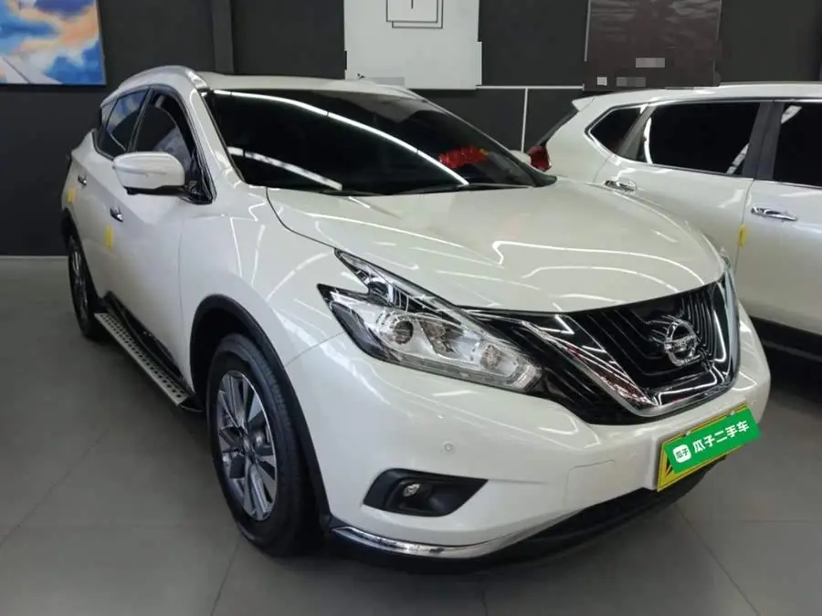 LuoLan 2021 2.5L XL Two-Wheel Drive Intelligent Luxury Edition