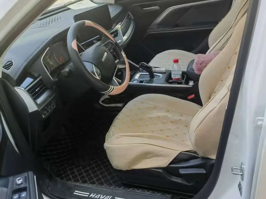 Haval H6 2023 National Trend Edition 1.5T Automatic Urban Version