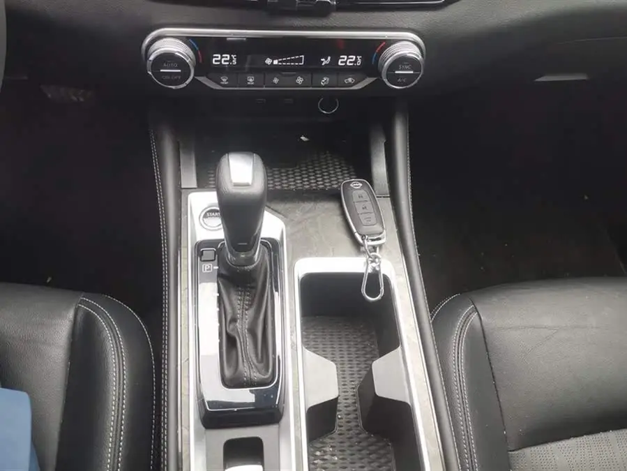 Tianlai 2022 2.0L XL-TLS Enjoy Version