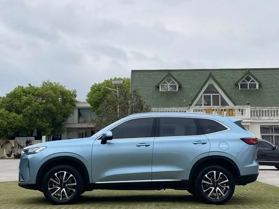 Haval H6 2021 Model Third Generation 1.5T Automatic Two-Wheel Drive Max