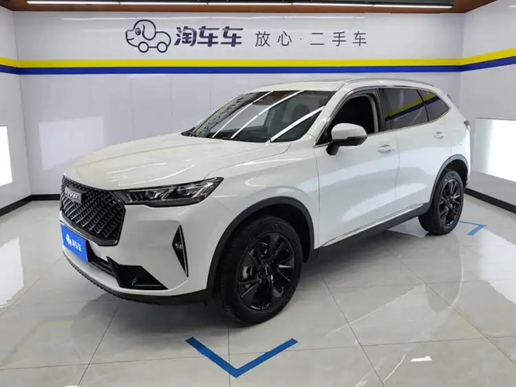 Haval H6 2021 Model Third Generation 2.0T Automatic Two-Wheel Drive Max