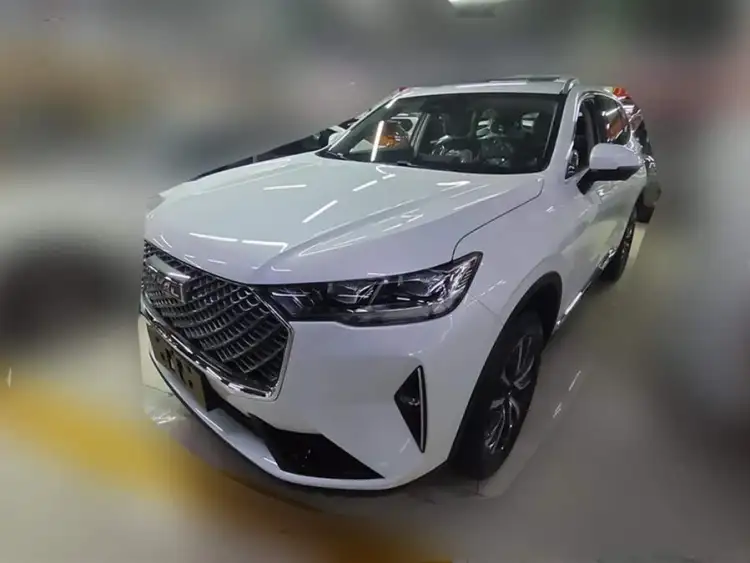 Haval H6 2024 1.5T Two-Wheel Drive Classic Edition