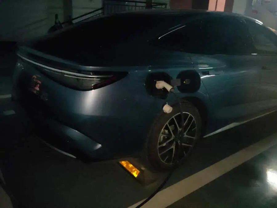 أسد البحر 2024 نسخة الشرف DM-i 1.5T 121 كم طراز رفيع