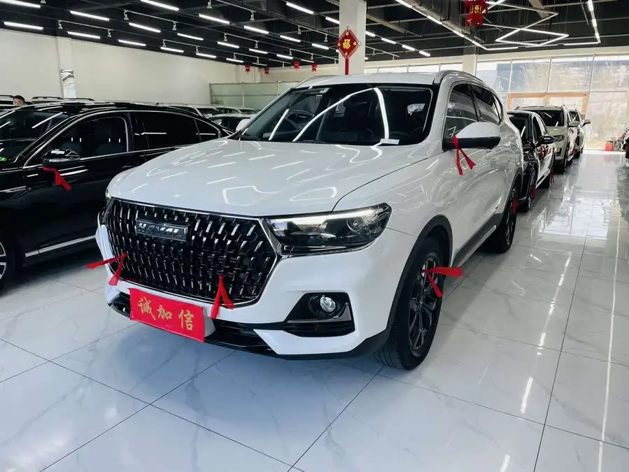 Haval H6 2023 National Trend Edition 1.5T Automatic Champion Edition
