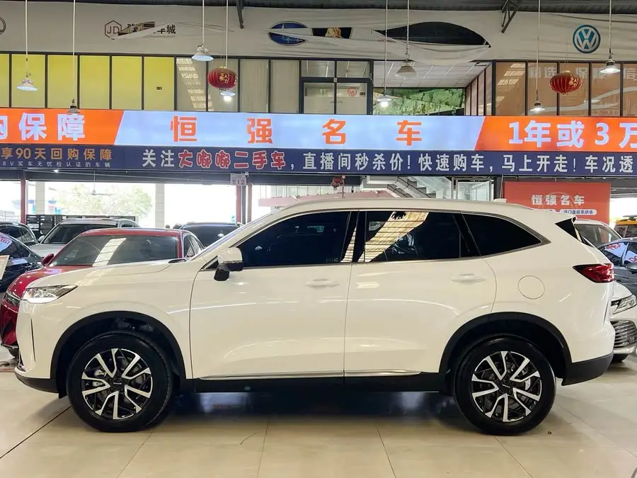 Haval H6 2021 Model Third Generation 1.5T Automatic Two-Wheel Drive Pro