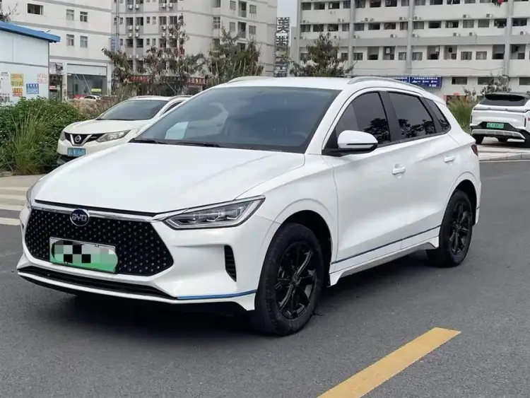 BYD e2 2019 High Endurance Version Yao Luxury Type