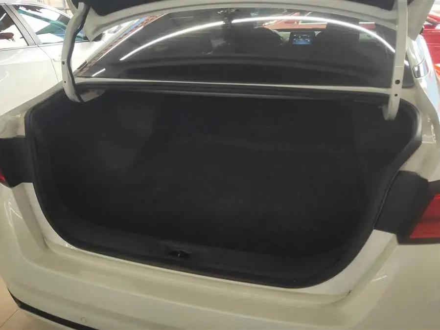 Tianlai 2020 2.0L XL Comfort Edition