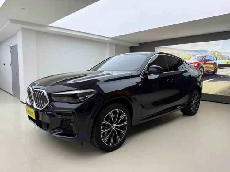 BMW X6 2022 xDrive30i M Sport Package
