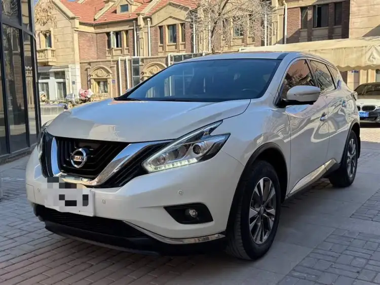 Loulan 2019 2.5L XL Two-Wheel Drive Intelligent Luxury Version National VI