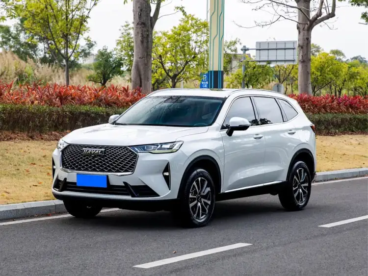 Haval H6 2021 Model Third Generation 1.5T Automatic Two-Wheel Drive Pro
