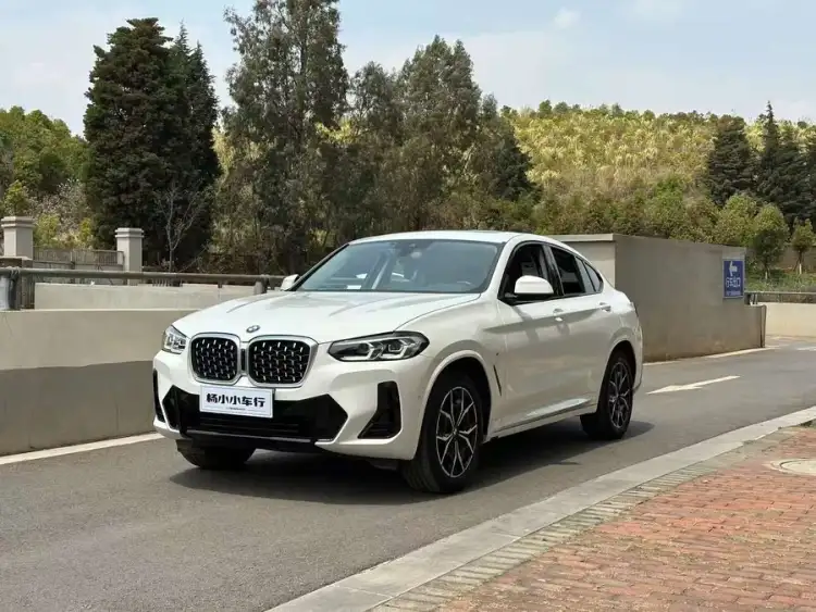 BMW X4 2022 xDrive 25i M Sport Package