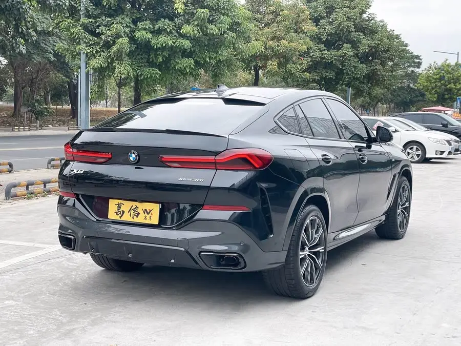 بي إم دبليو X6 2022 تعديل xDrive30i حزمة رياضية M