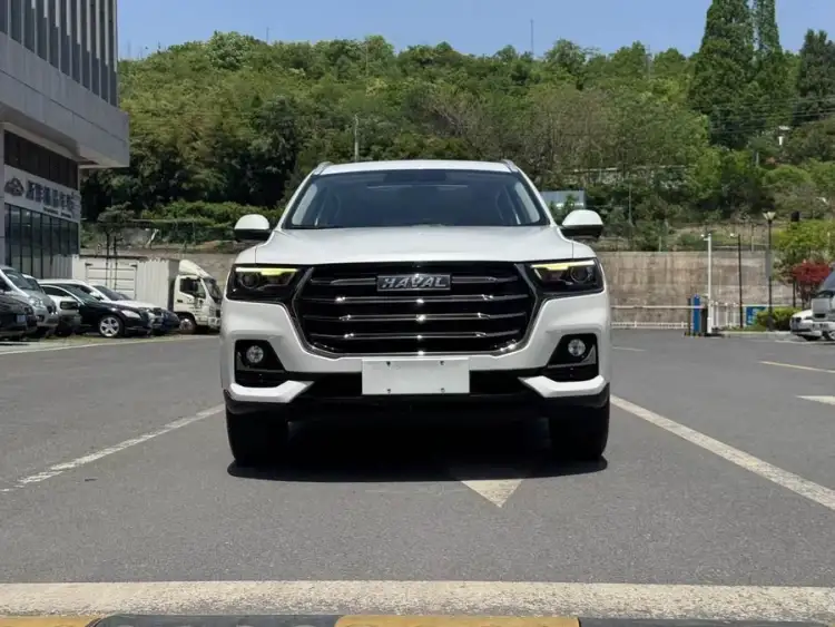 Haval H6 2021 National Trend Edition 1.5T Automatic Champion Version
