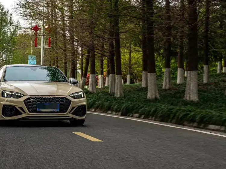 Audi RS 5 2021 RS 5 2.9T Coupe Dark Gold Edition