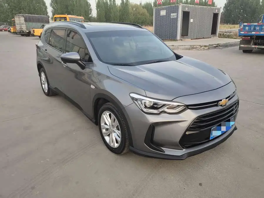 Wolongda 2020 Model Light Hybrid 530T Automatic Enjoy Edition (5+2 Seats)