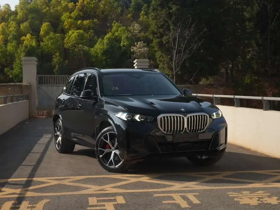 BMW X5 2023 xDrive 30Li M Sport Night Package