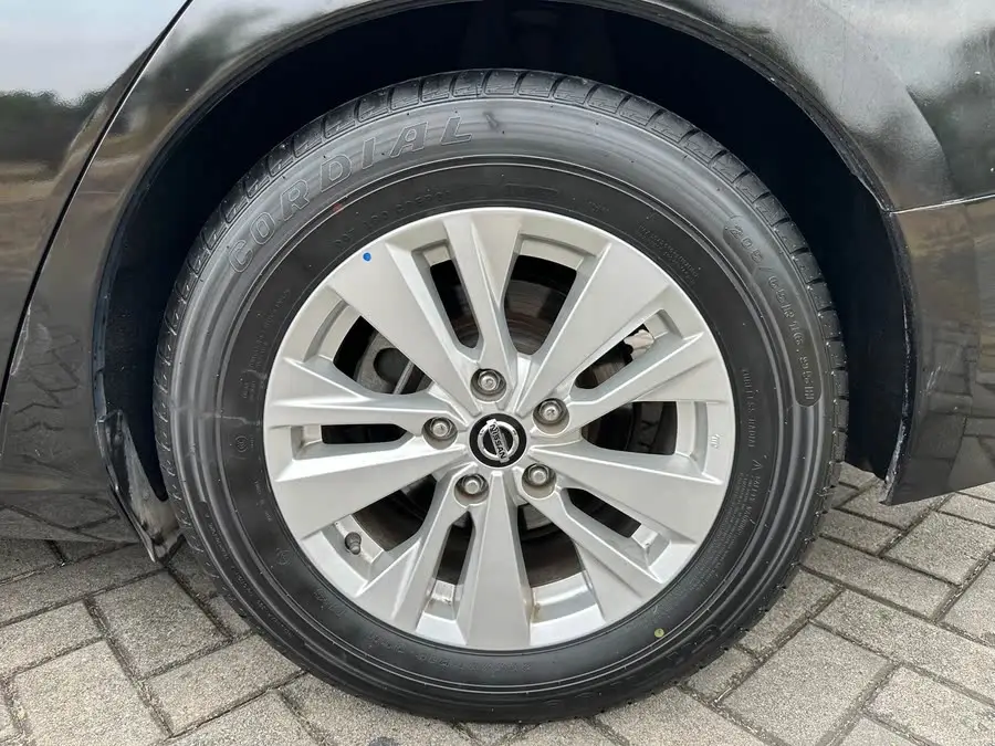 Tianlai 2021 2.0L XE Fashion Edition