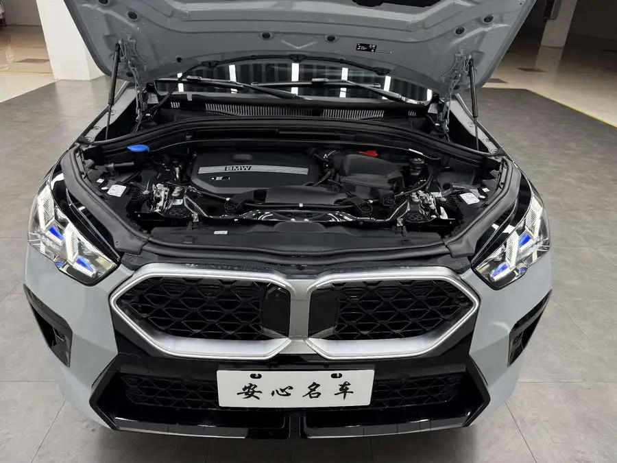 BMW X2 (Imported) 2024 Model sDrive25i M Sport Package