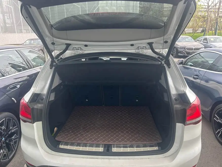 BMW X1 2020 sDrive25Li Leading Edition