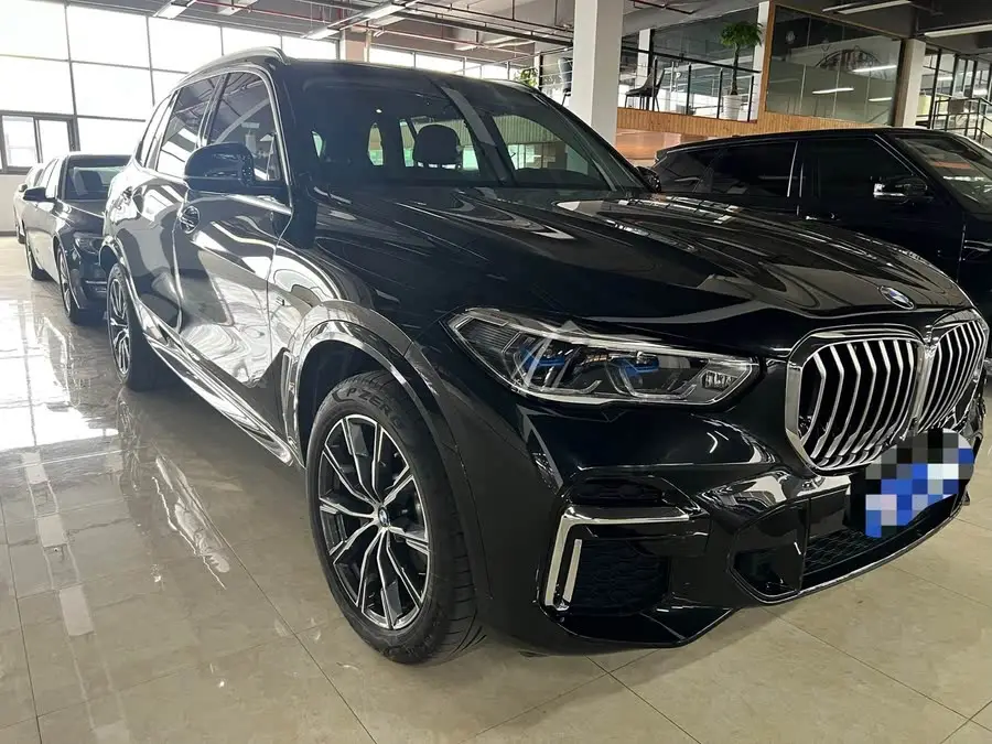 BMW X5 2022 xDrive 30Li M Sport Package