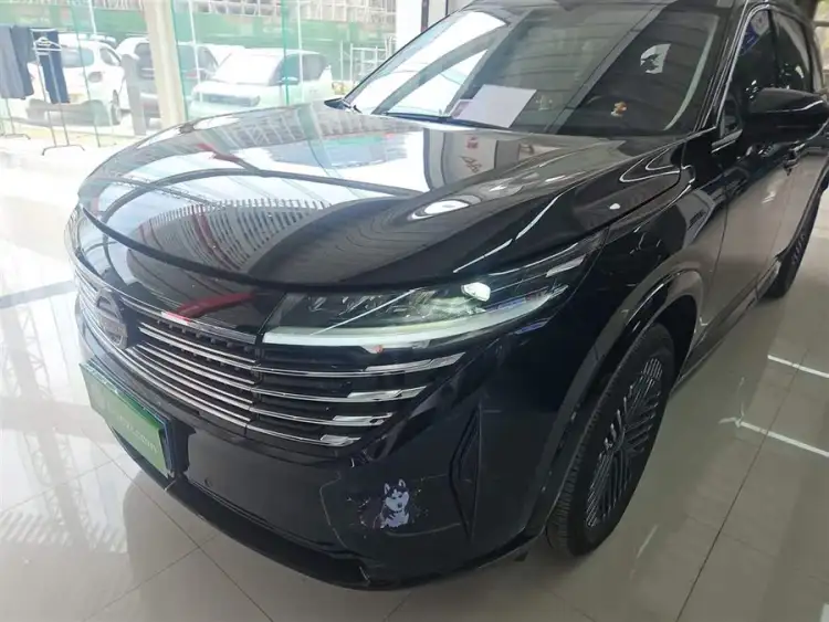 Tanlu 2024 380VC-TURBO AWD Intelligent Driving Version 7-Seater