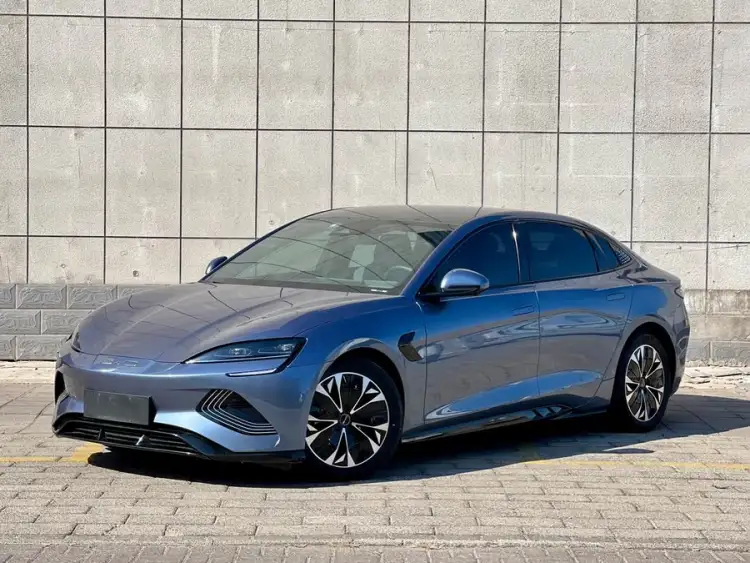 Sealion 2022 Model 550km Standard Range Rear-Wheel Drive Premium Version