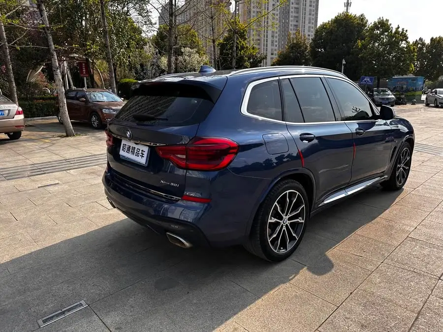 BMW X3 2021 xDrive30i Leading M Sport Package