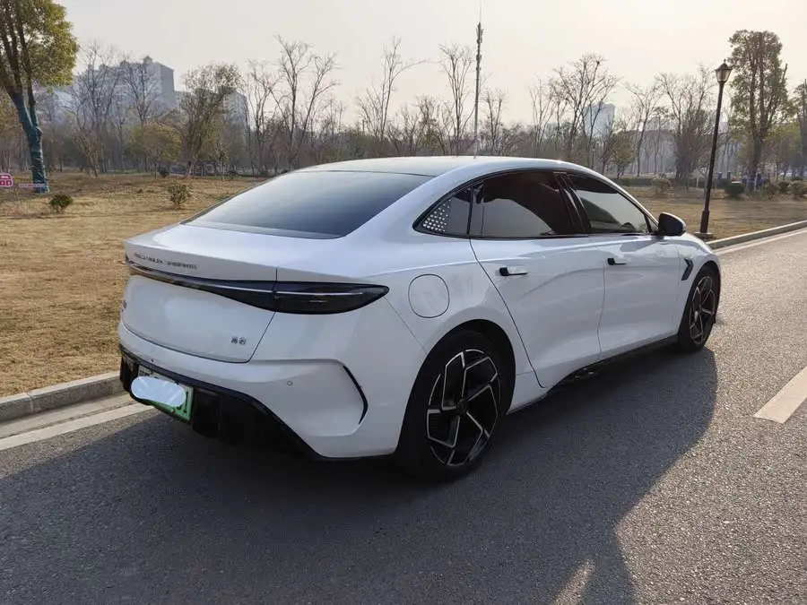 Sealion 2022 Model 700km Long Range Rear-Wheel Drive Version