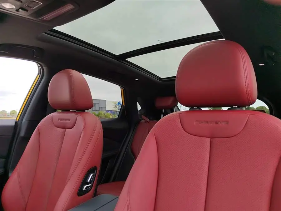 Fengxing T5 EVO 2021 1.5TD DCT Star Edition Heatwave