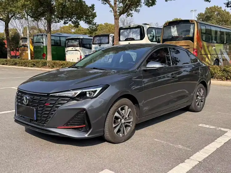 Yidong 2022 PLUS Blue Whale NE 1.4T GDI DCT Premium Edition