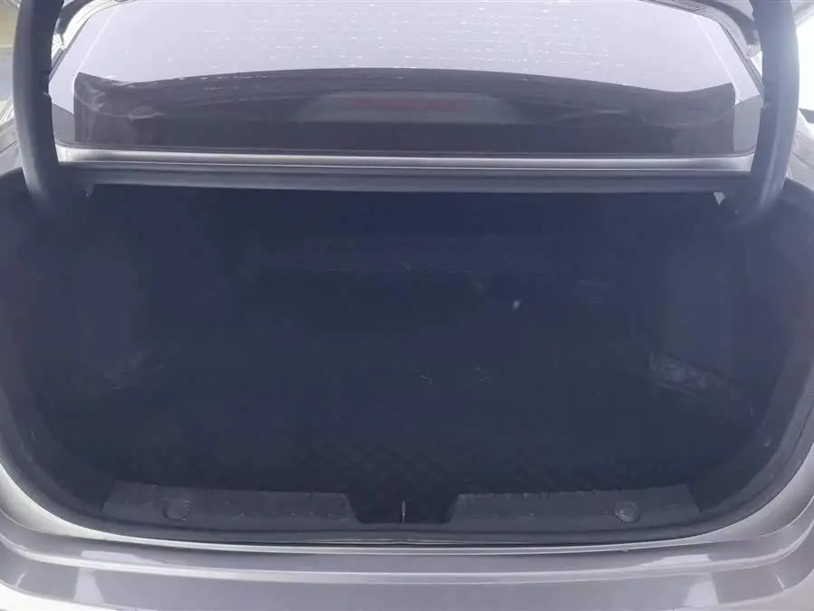 Yidong 2020 Plus Blue Whale NE 1.4T GDI DCT Premium