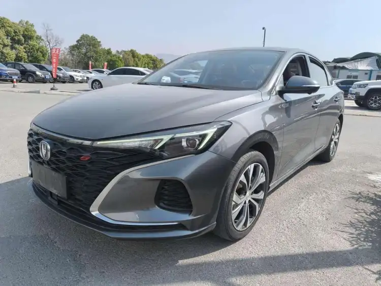 Yidong 2022 PLUS Blue Whale NE 1.4T GDI DCT Premium Edition