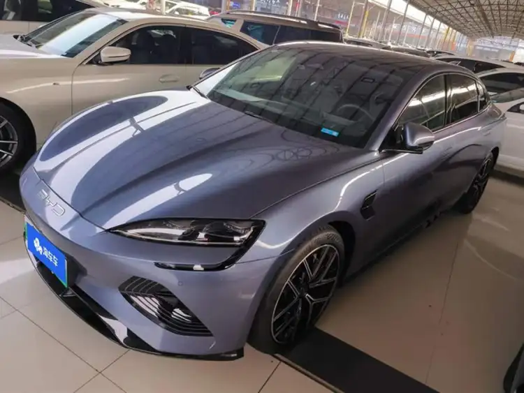 Sealion 2023 Champion Edition 650km AWD Performance Version