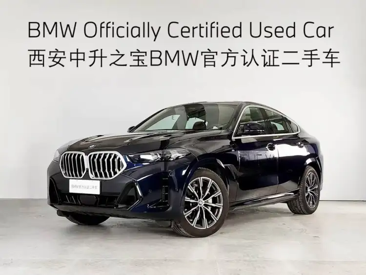 BMW X6 2023 xDrive30i M Sport Package