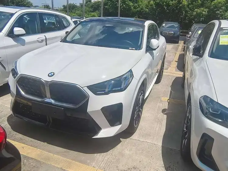 BMW X2 (Imported) 2024 Model sDrive25i M Sport Package