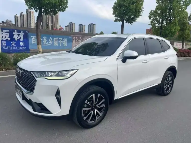 Haval H6 2021 Model Third Generation 1.5T Automatic Two-Wheel Drive Pro