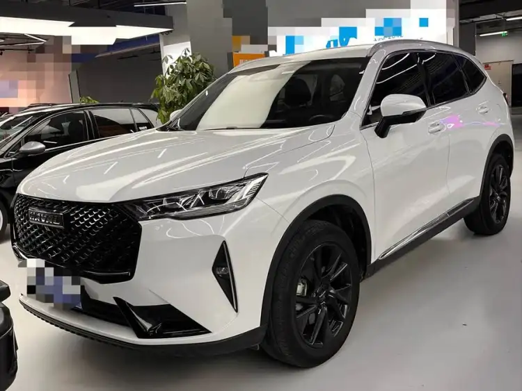 Haval H6 2021 Model Third Generation 2.0T Automatic Four-Wheel Drive Max