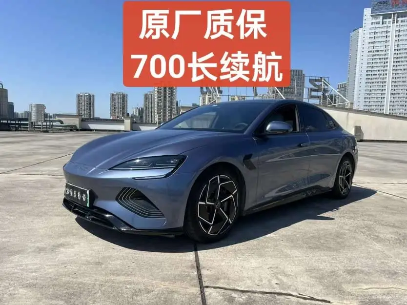 Beaver 2022 Model 700km Long Range Rear-Wheel Drive Version