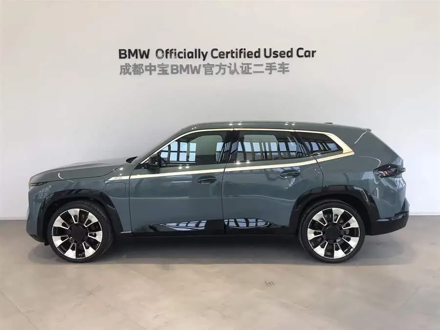 BMW XM 2023 Basic Model