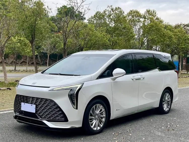 2023 Century 2.0T Six-Seater Yunshi Edition