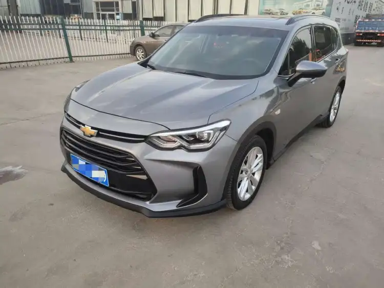 Wolongda 2020 Model Light Hybrid 530T Automatic Enjoy Edition (5+2 Seats)