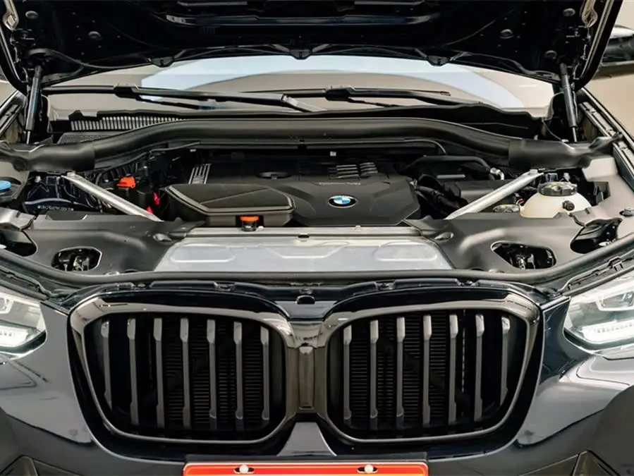 BMW X3 2022 xDrive30i Leading Model M Night Package