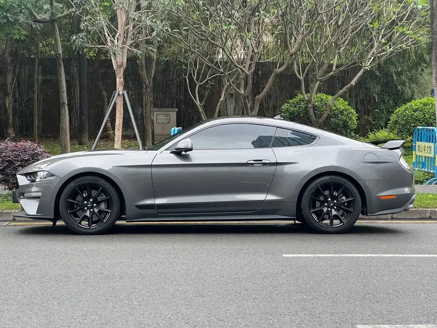 ماستنج 2021 2.3T إيكوبوست إصدار الظل الأسود الخاص