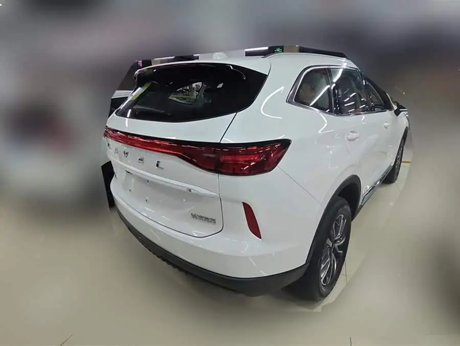 Haval H6 2024 1.5T Two-Wheel Drive Classic Edition