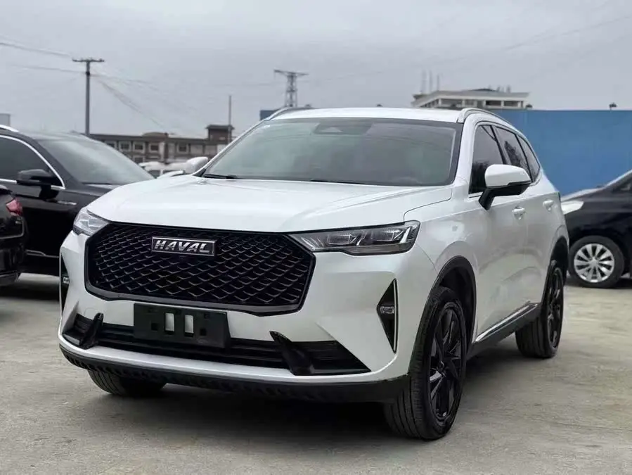Haval H6 2021 Model Third Generation 2.0T Automatic Four-Wheel Drive Supreme