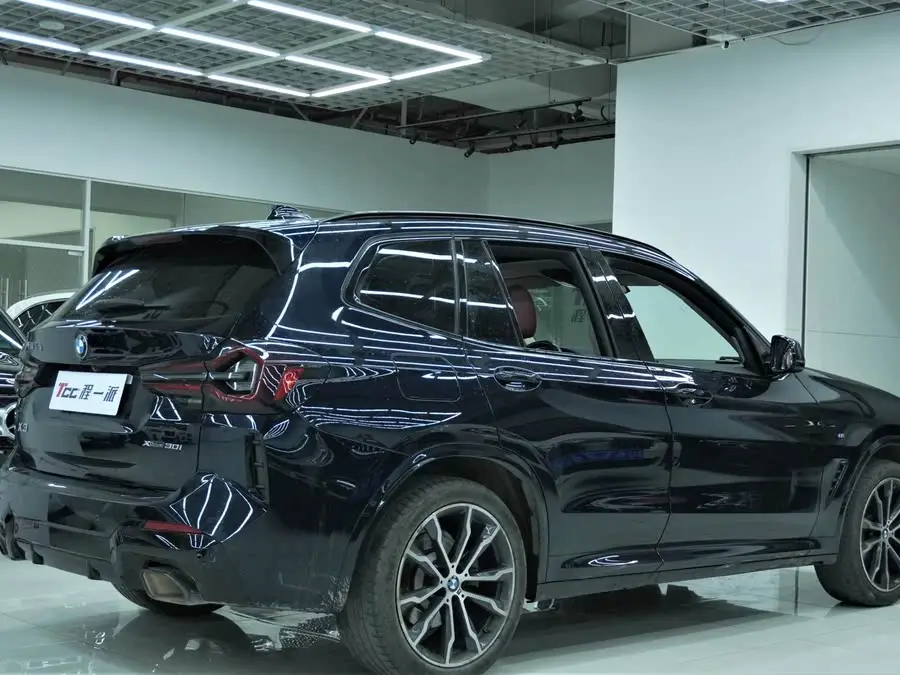 BMW X3 2022 xDrive30i Leading Model M Shadow Package