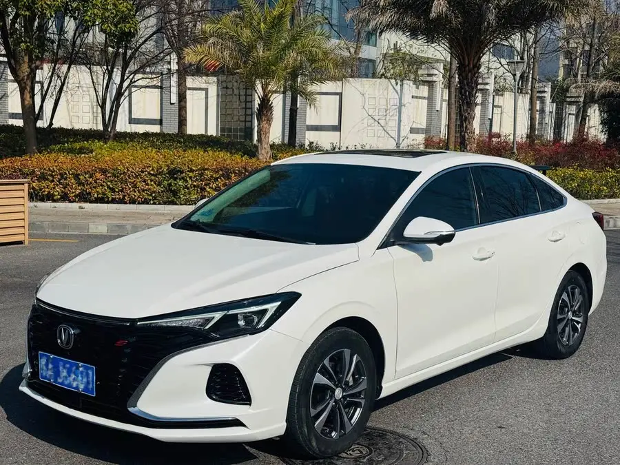 Yidong 2022 PLUS Blue Whale NE 1.4T GDI DCT Flagship Version