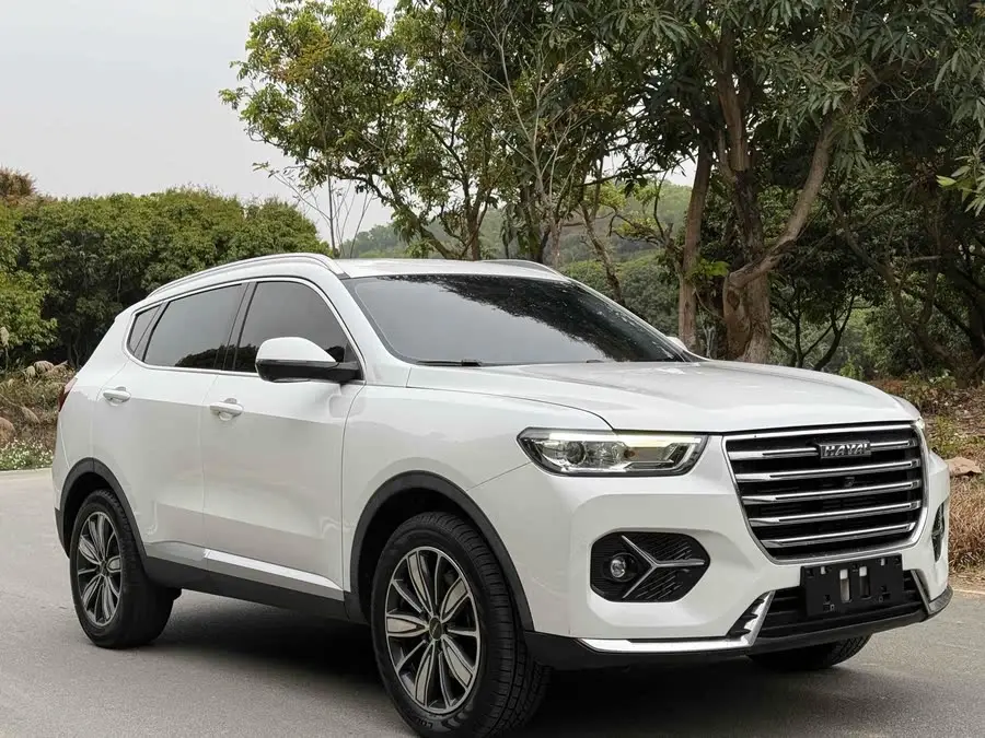 Haval H6 2020 1.5GDIT Automatic Platinum Super Luxury Version